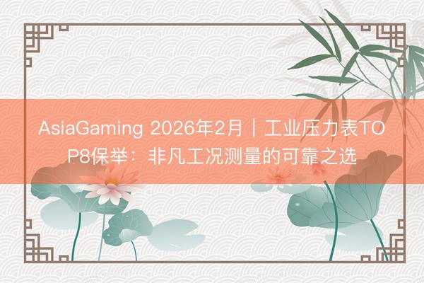 AsiaGaming 2026年2月｜工業(yè)壓力表TOP8保舉：非凡工況測量的可靠之選
