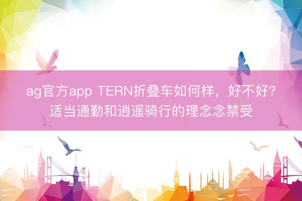 ag官方app TERN折疊車如何樣，好不好？適當(dāng)通勤和逍遙騎行的理念念禁受