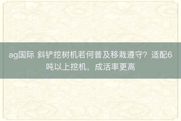 ag國際 斜鏟挖樹機若何普及移栽遵守？適配6噸以上挖機，成活率更高