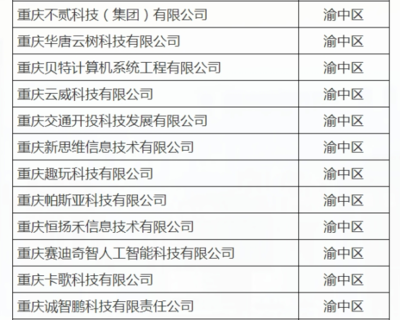 渝中12家企業(yè)入選重慶首批“滿天星”示范企業(yè)，引領(lǐng)軟件開(kāi)發(fā)新高度